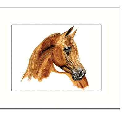 Wahid (Arabian) By: Jan Kunster