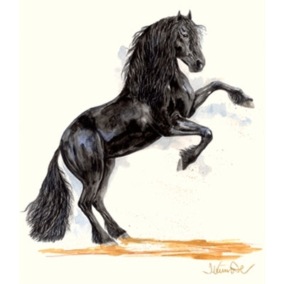 Zeeland (Friesian) By: Jan Kunster