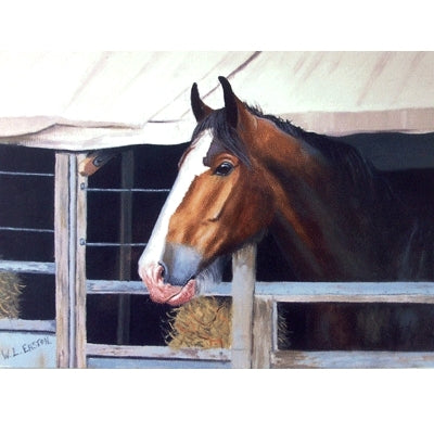 In Lodgings Blank Greeting Cards - 6 Pack