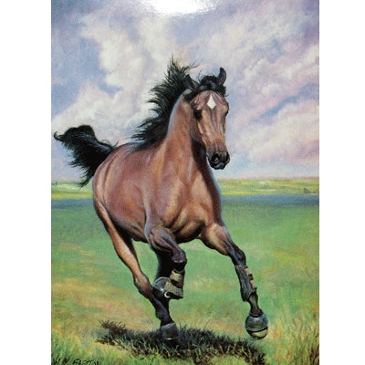 Free as the Wind Blank Greeting Cards - 6 Pack