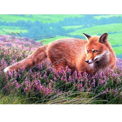 Fox in Heather Blank Greeting Cards - 6 Pack