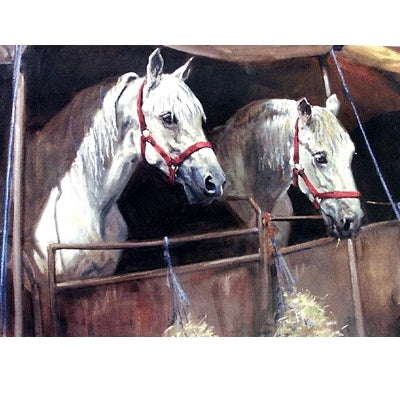 Waiting for the Show Blank Greeting Cards - 6 Pack