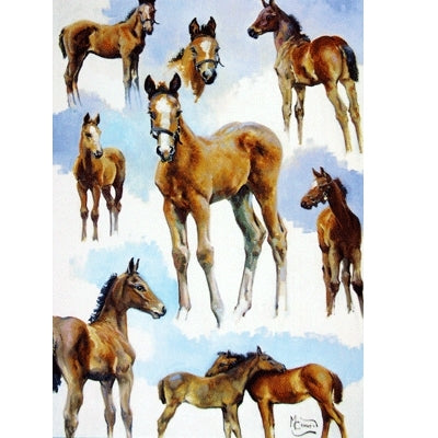Foal Studies Blank Greeting Cards - 6 Pack