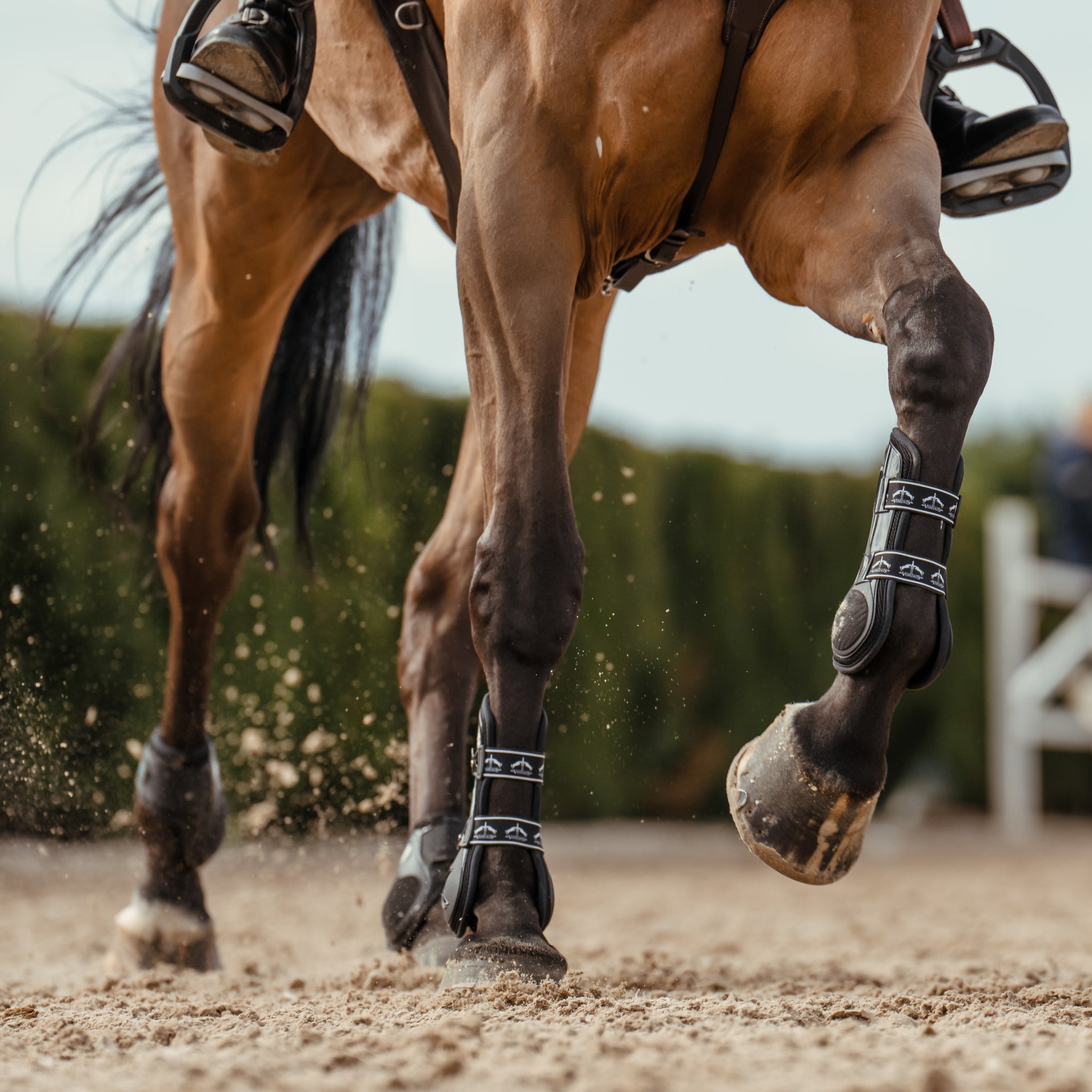 Veredus Carbon Gel Vento Front Tendon Boots