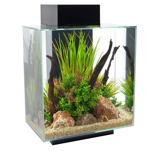 Fluval EDGE 12 Gallon Glass Aquarium Set with LED Lighting System