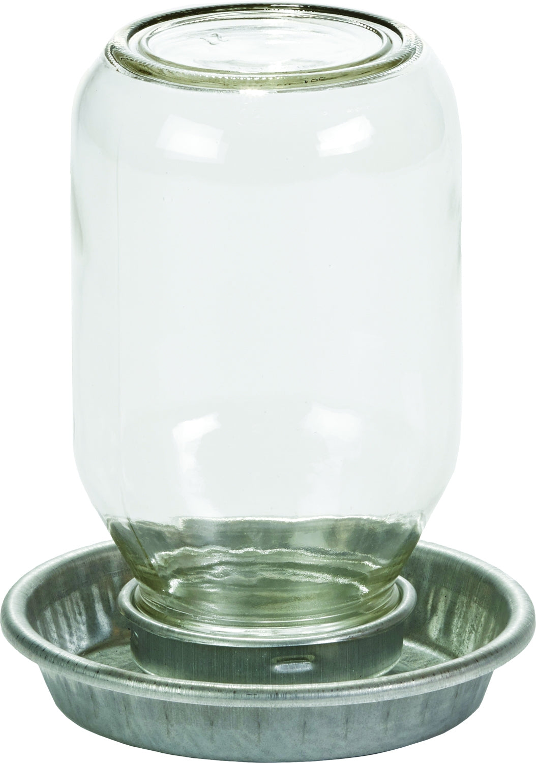 Mason Jar Baby Chick Waterer 1 Quart Clear