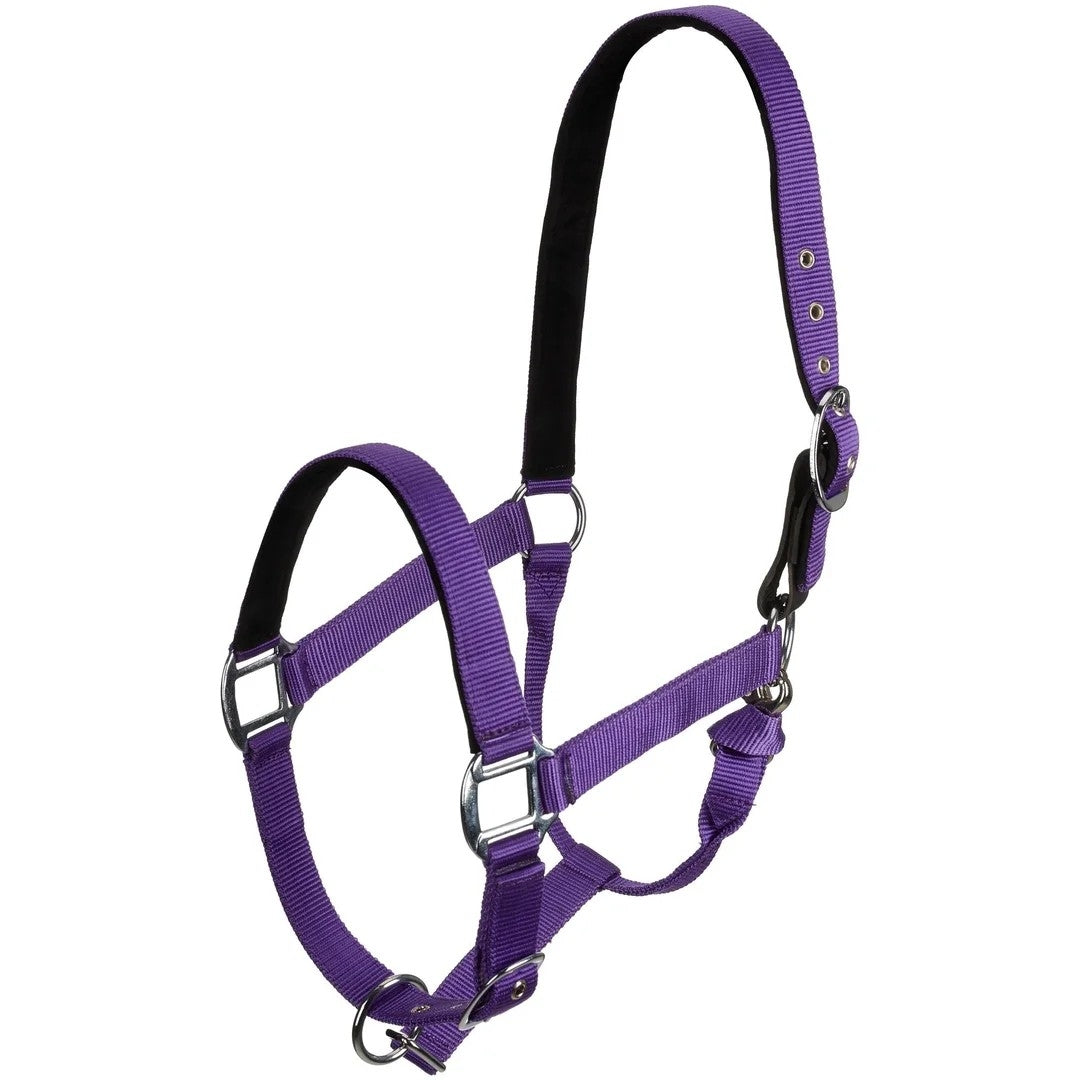 Centaur Solid Cushion Padded Breakaway Halter