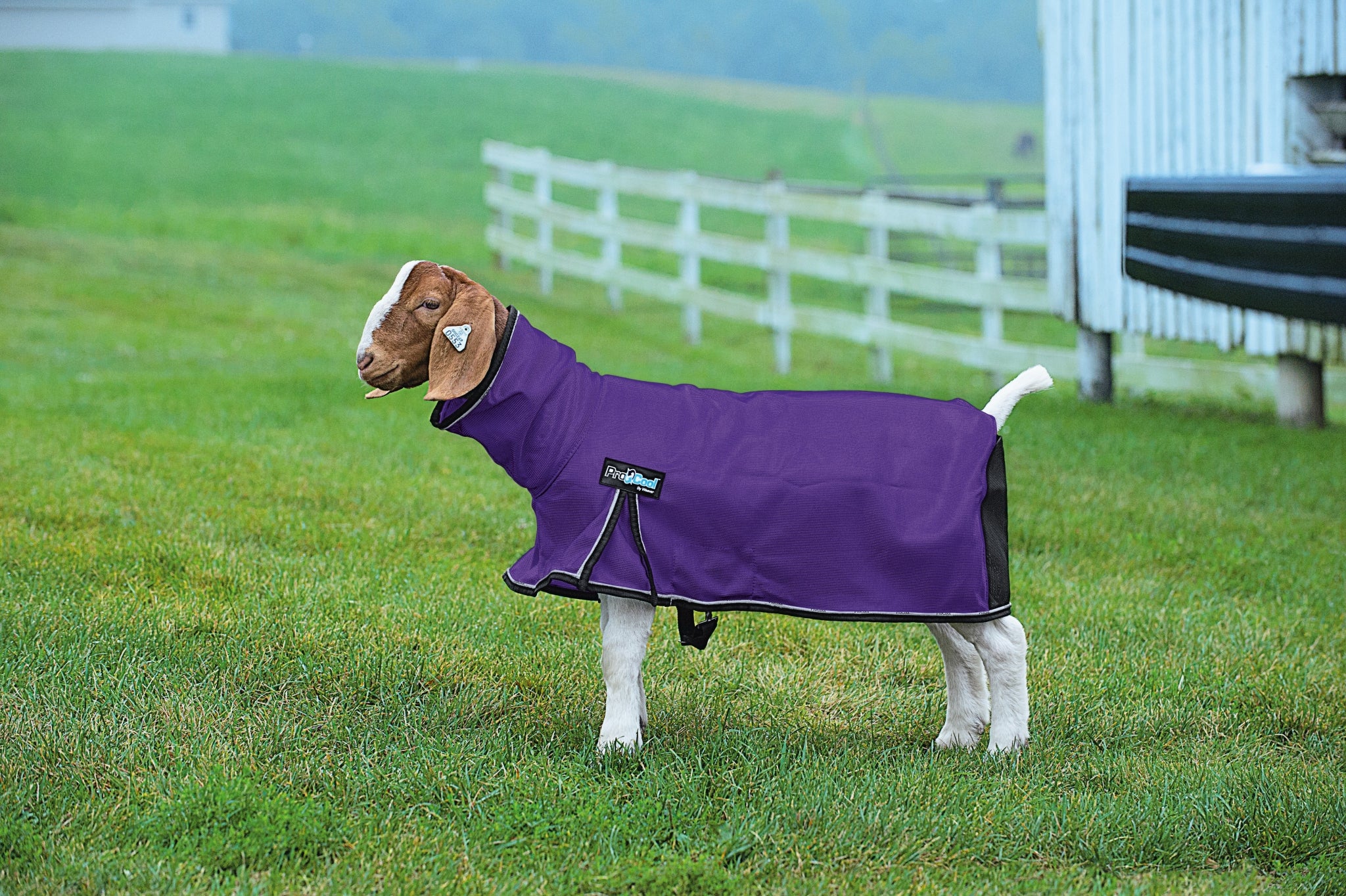 Weaver ProCool Goat Blanket with Reflective Piping