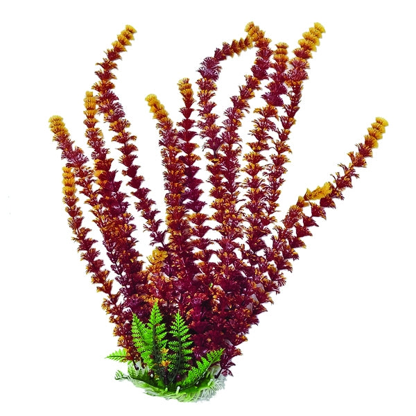 Aquatop Cabomba Fire Aquarium Plant