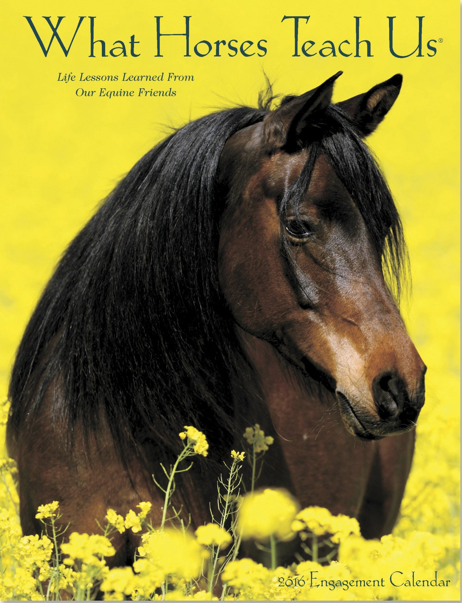 What Horses Teach Us Engagment Calendar - 2016