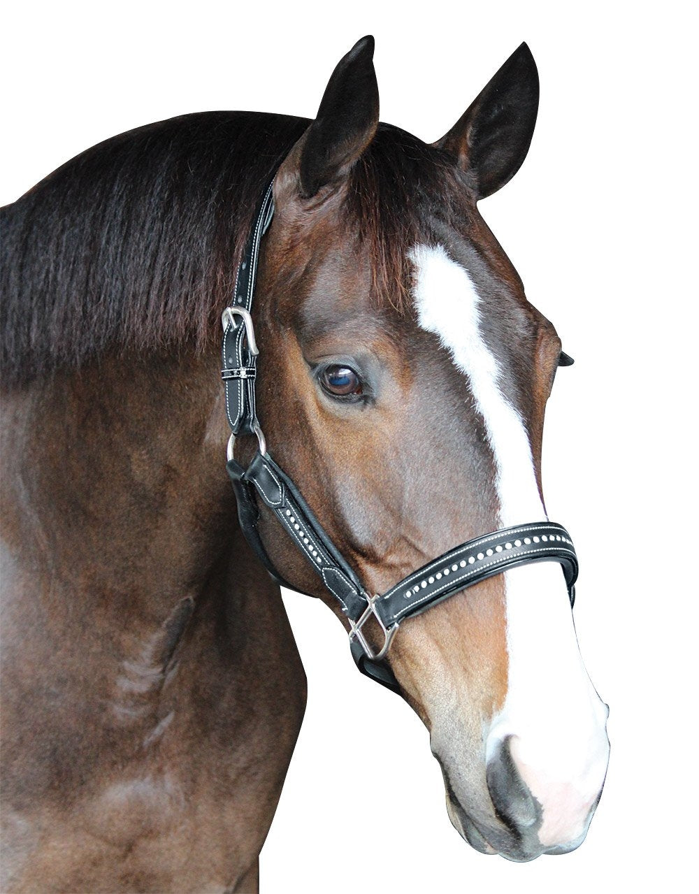 Henry de Rivel Padded Crystal Halter