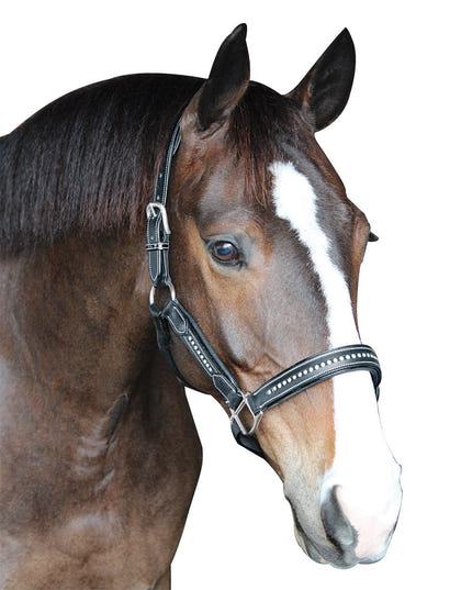 Henry de Rivel Padded Crystal Halter