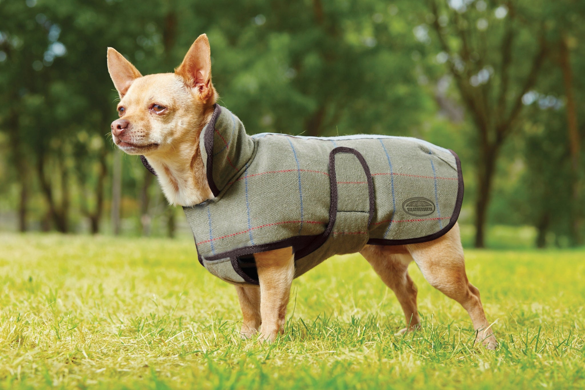 WeatherBeeta Tweed Dog Coat