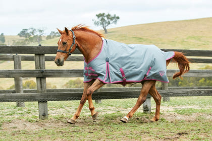 Saxon 1200D Standard Med Blanket