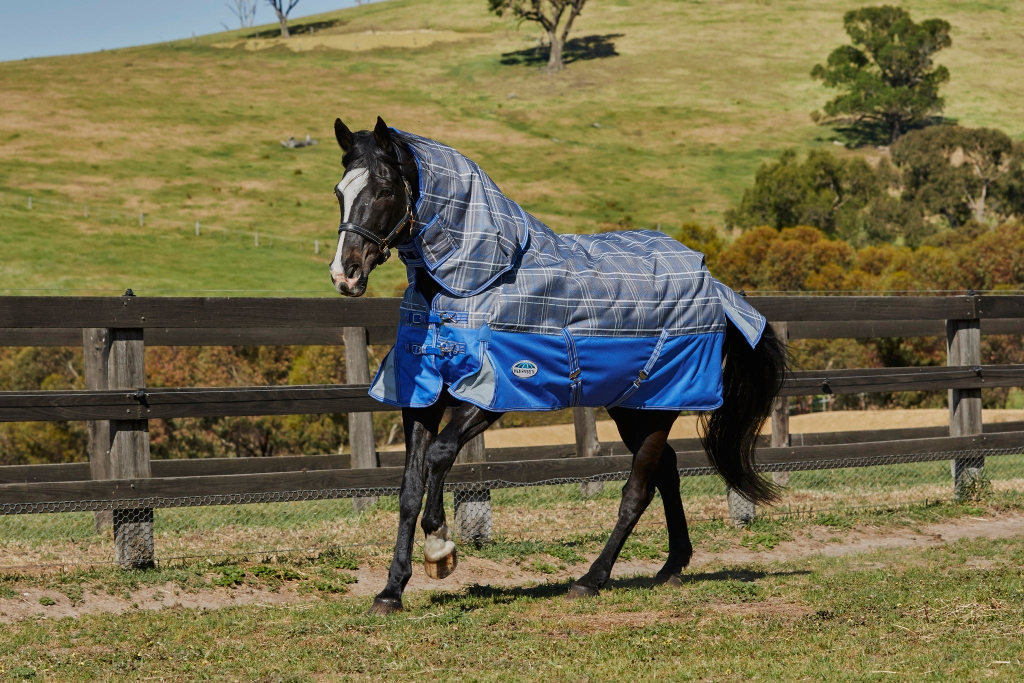 Weatherbeeta ComFiTec Trio Detach A Neck Med