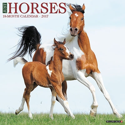 Just Horses 2017 18 Month Calendar