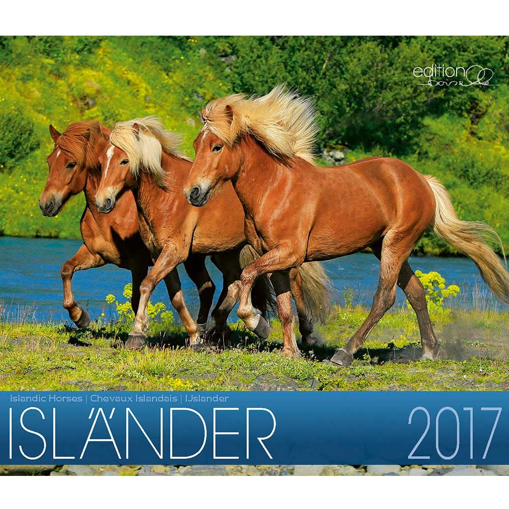 Boiselle Mid Sized Calendar Icelandic - 2017