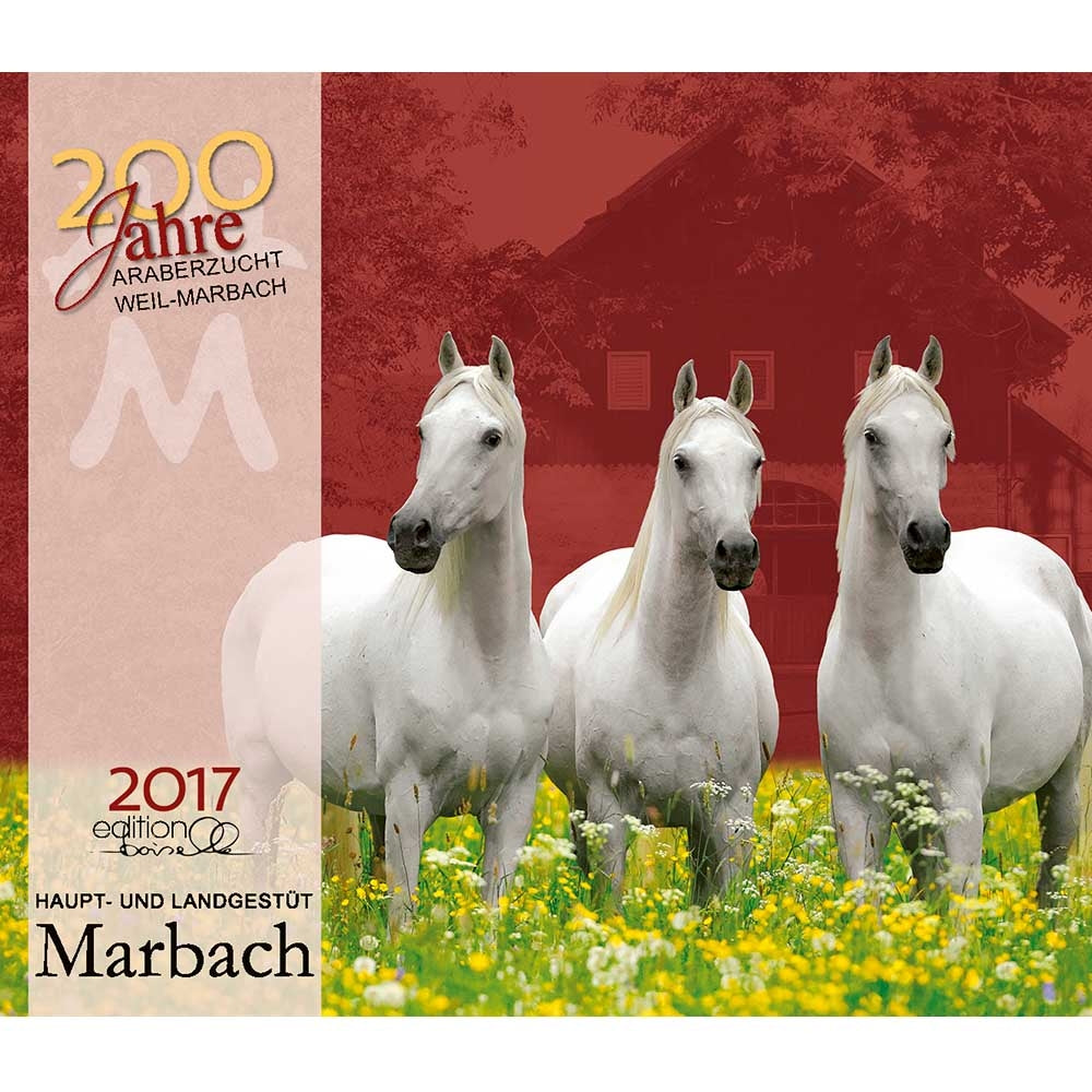Boiselle Mid Sized Calendar Marbach - 2017