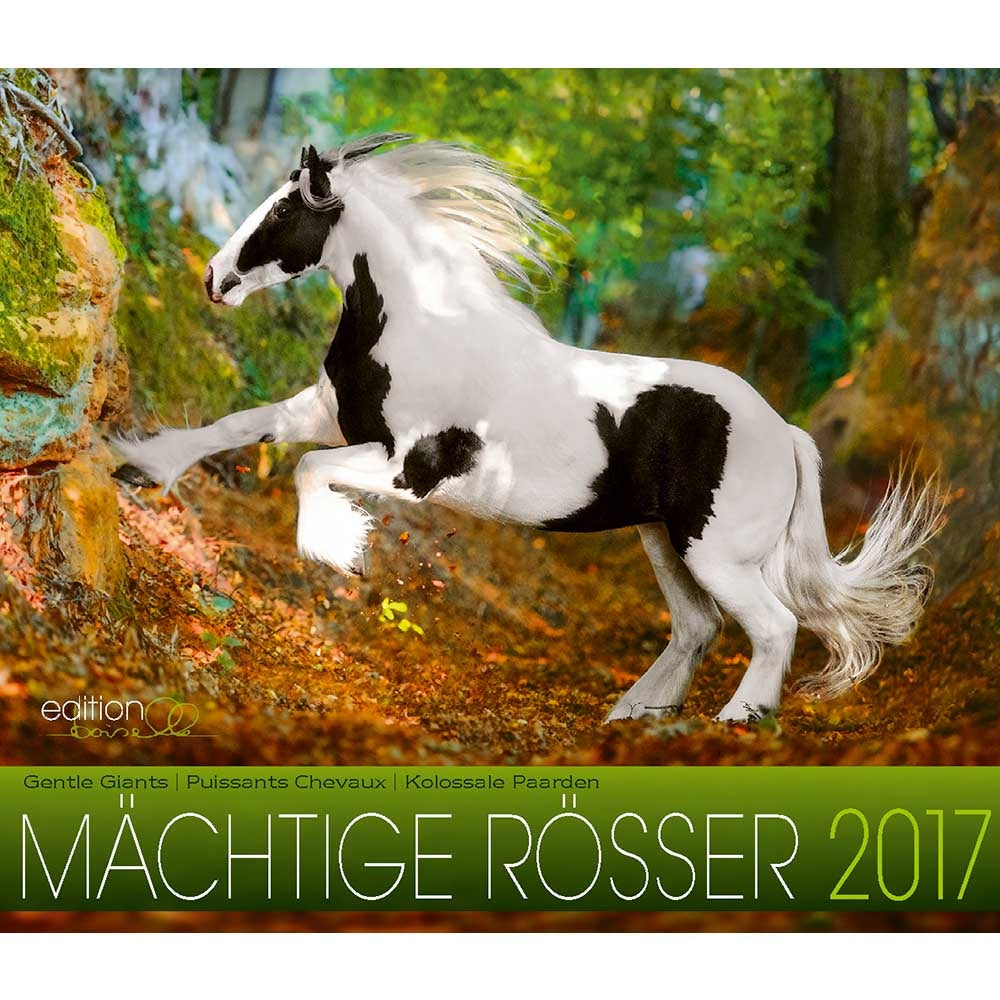 Boiselle Mid Sized Calendar Draft Horse - 2017