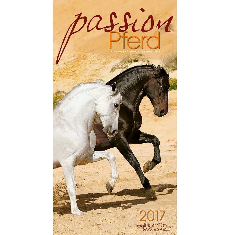Boiselle Art Calendar Passion - 2017