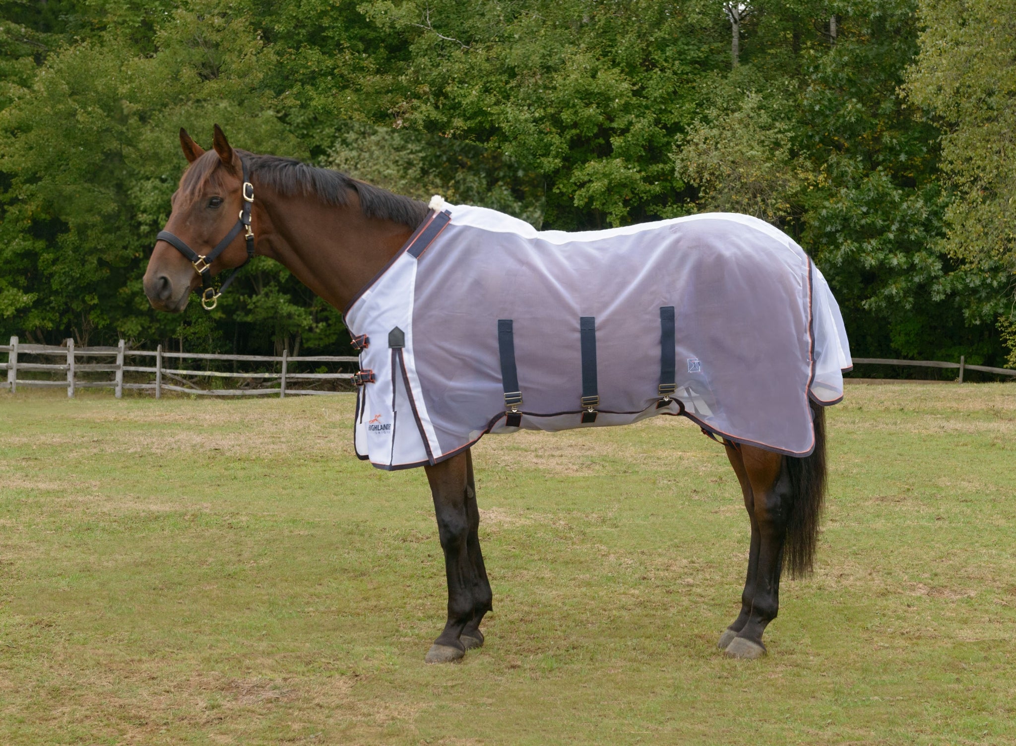 Shires Highlander Fine Mesh Fly Sheet/Neck Set