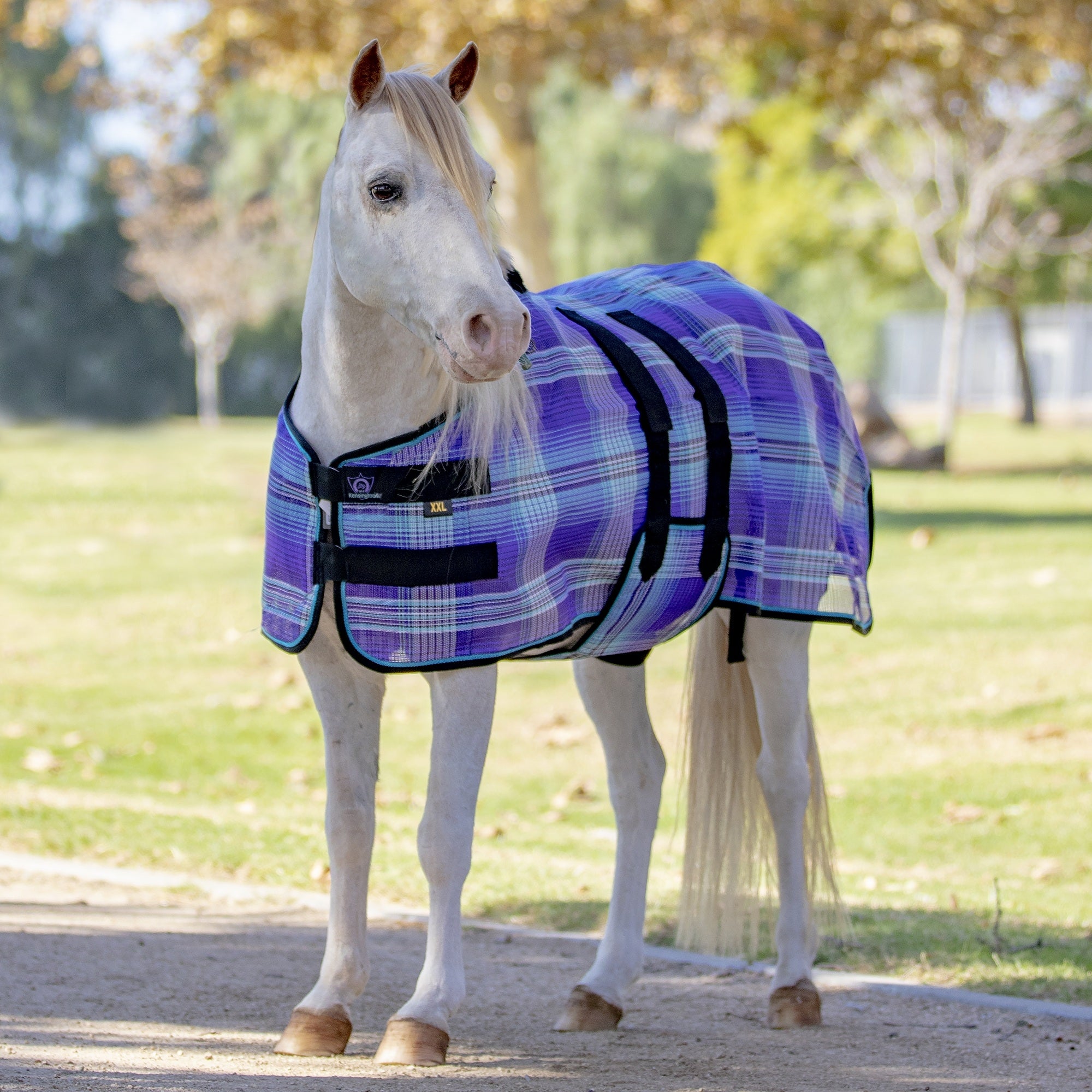 Kensington Protective Sheet Mini