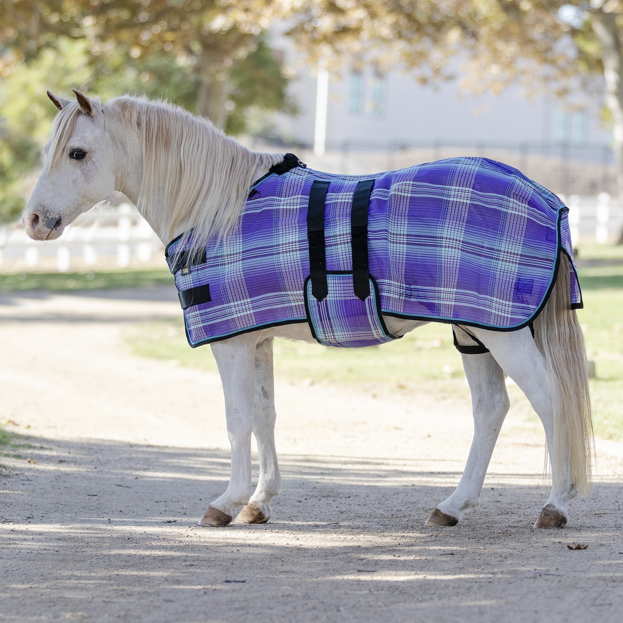 Kensington Protective Sheet Mini