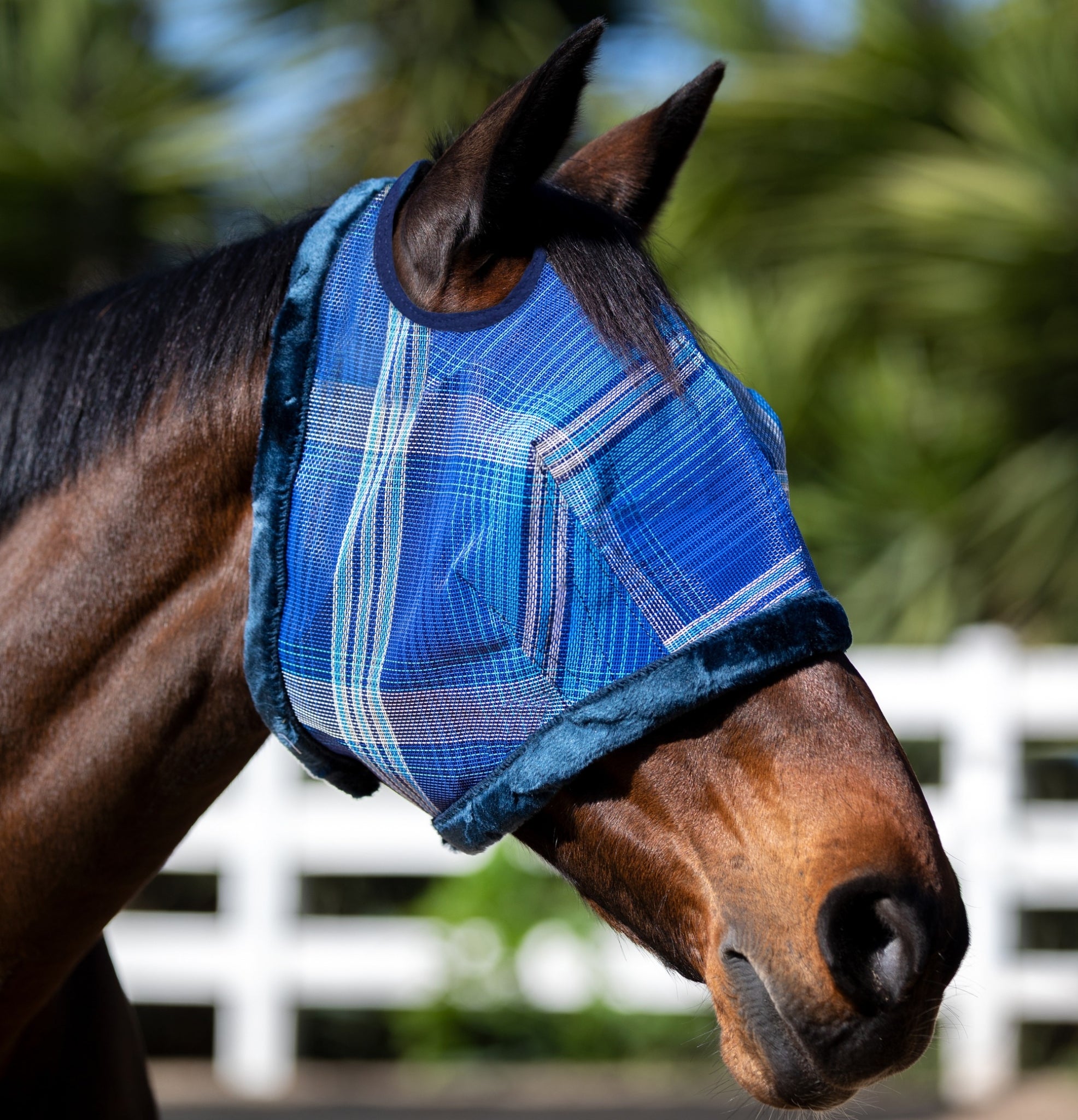 Kensington Fly Mask with Fleece Trim