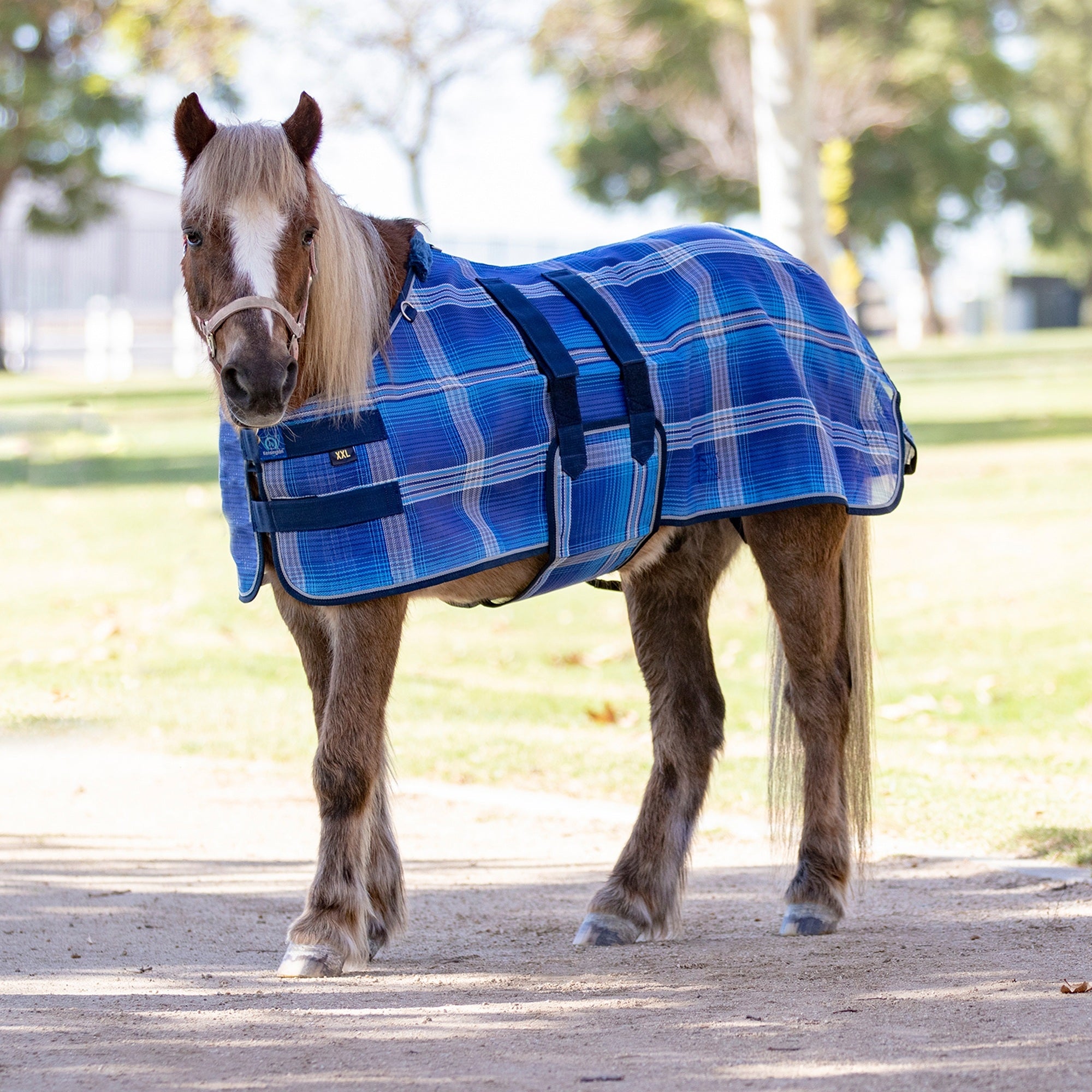 Kensington Protective Sheet Mini