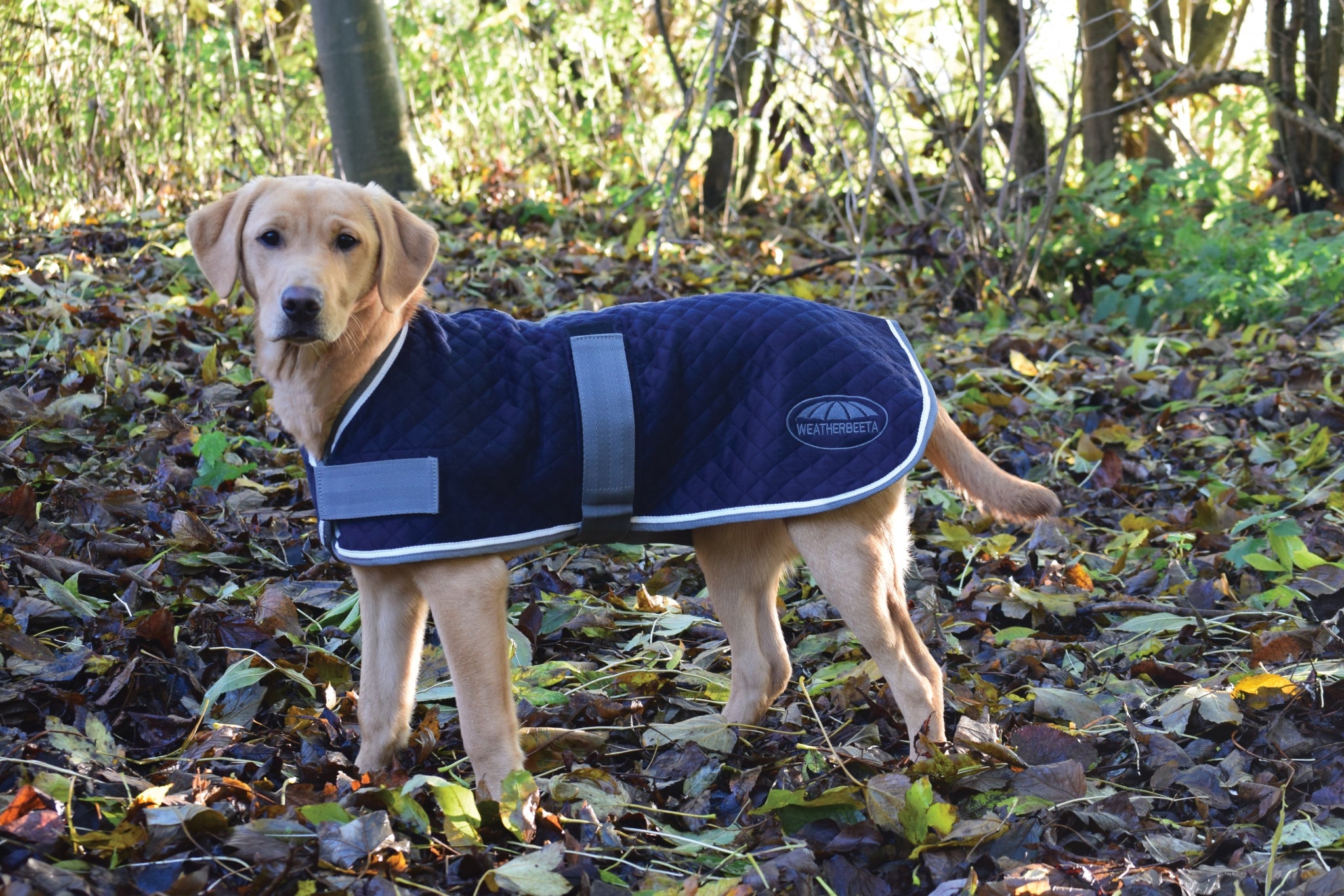 WeatherBeeta Thermic Dog Coat