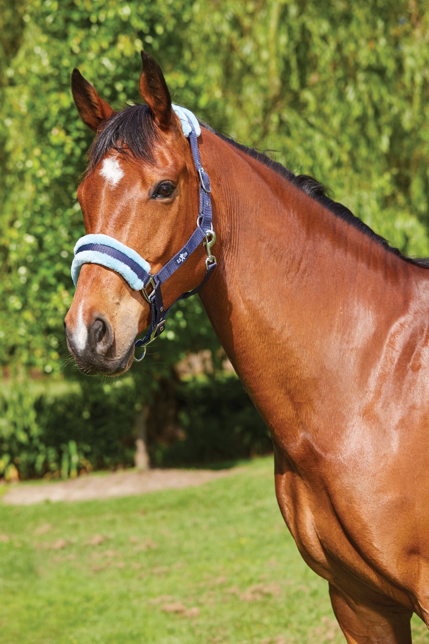 Saxon Element Fleece Headcollar