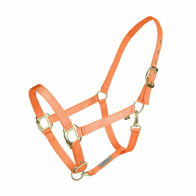 Kentucky Vogue Premium Shiny Nylon Halter