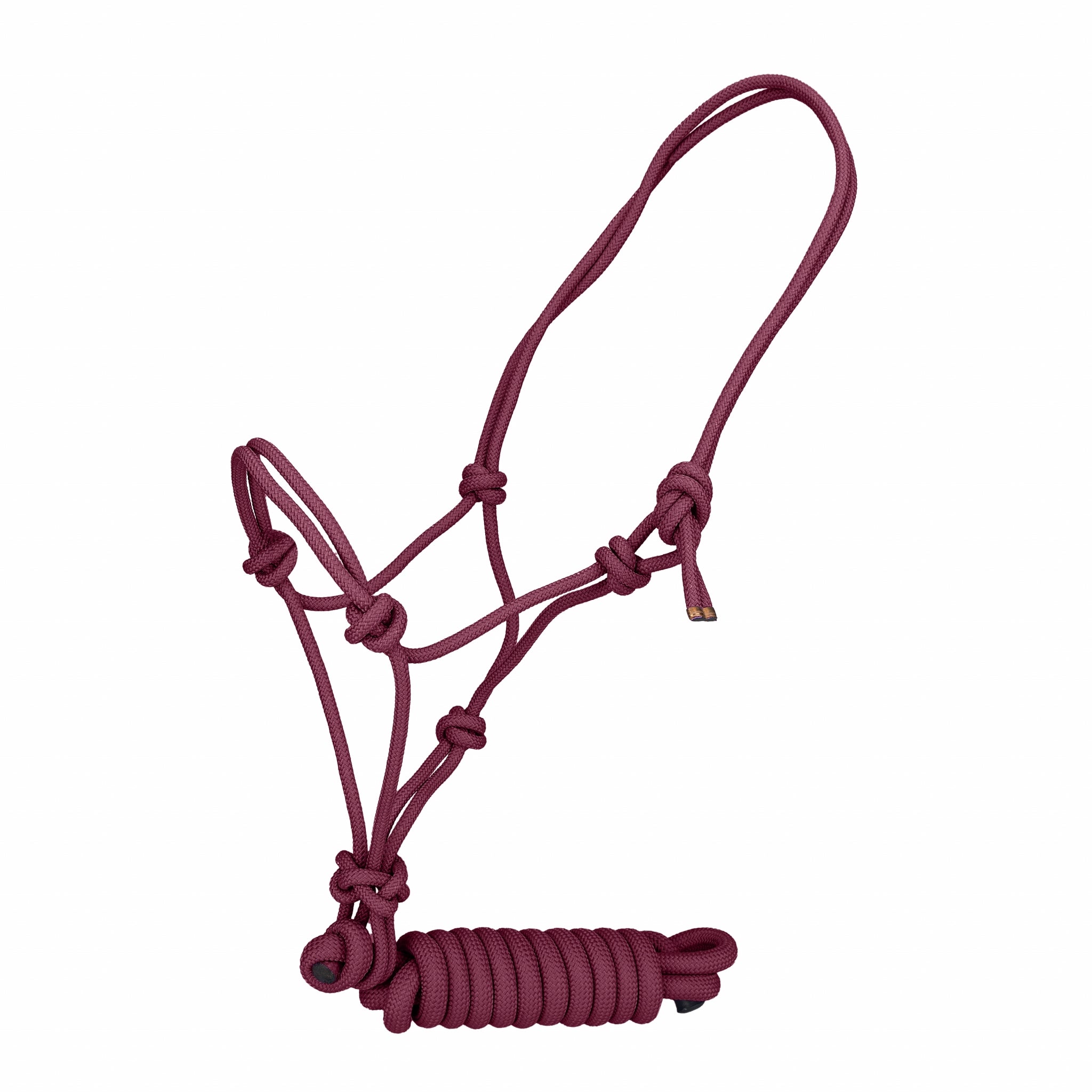 Kentucky Vogue Rope Halter with Lead