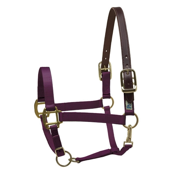 Perris Ribbon Safety Halter Mini B Purple/LLama
