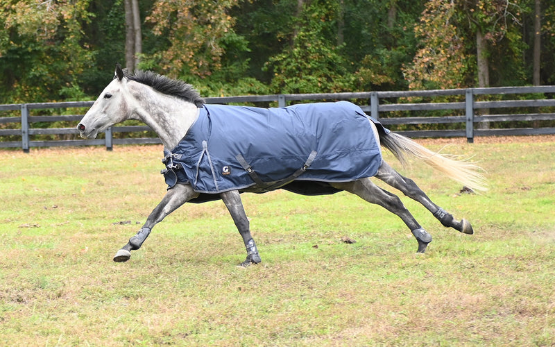 Gatsby 600D 300gm HW Waterproof Blanket