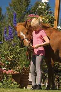 Irideon Kids Pony Argyle Tee