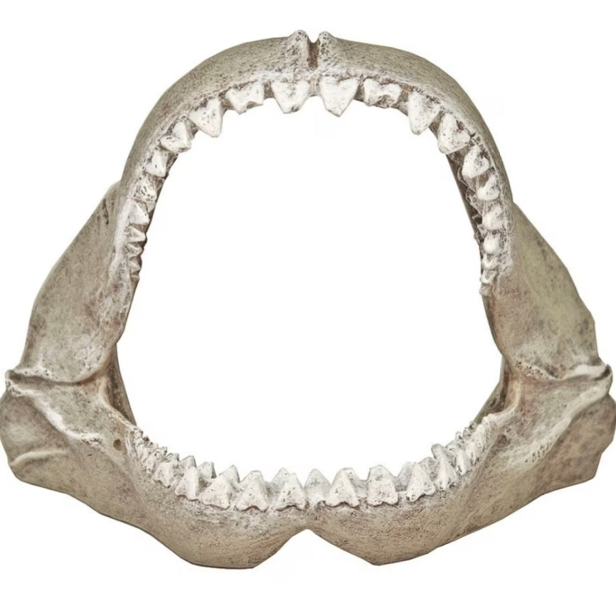 Blue Ribbon Great White Shark Jaws Ornament
