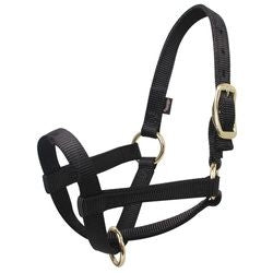 Llama Halter