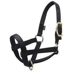 Llama Halter