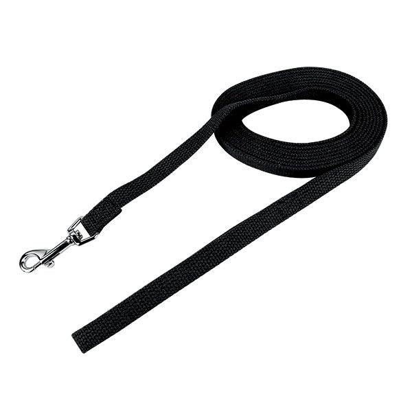 Web Training Lead Green