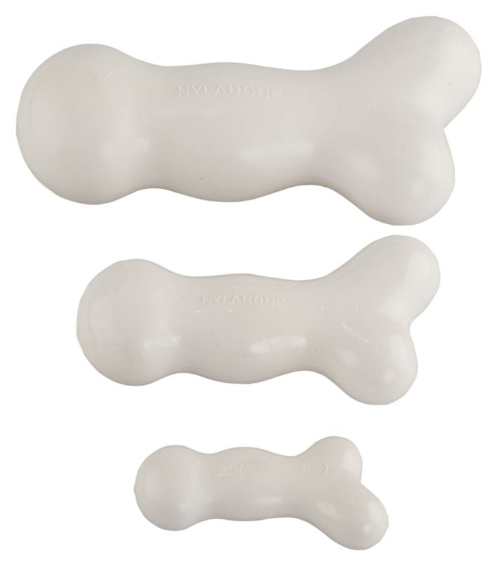 Nylabone Dura Chew Galileo Dog Chew
