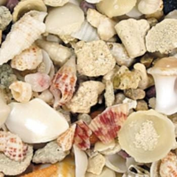 CaribSea Seaflor Aruba Puka Shell Substrate