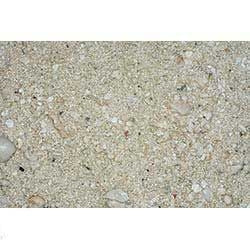 Caribsea Ocean Direct Natural Live Sand 20lb