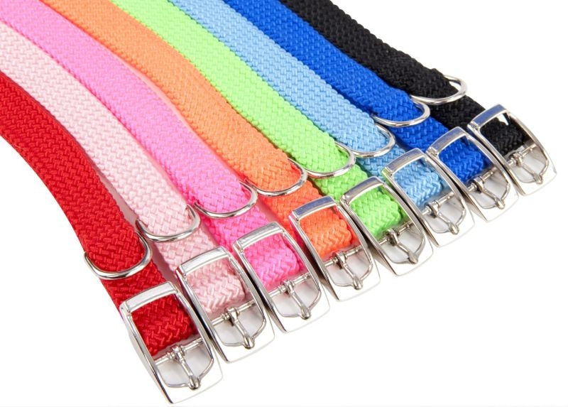 Adjustable Puppy Collar