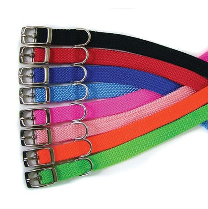 Adjustable Puppy Collar