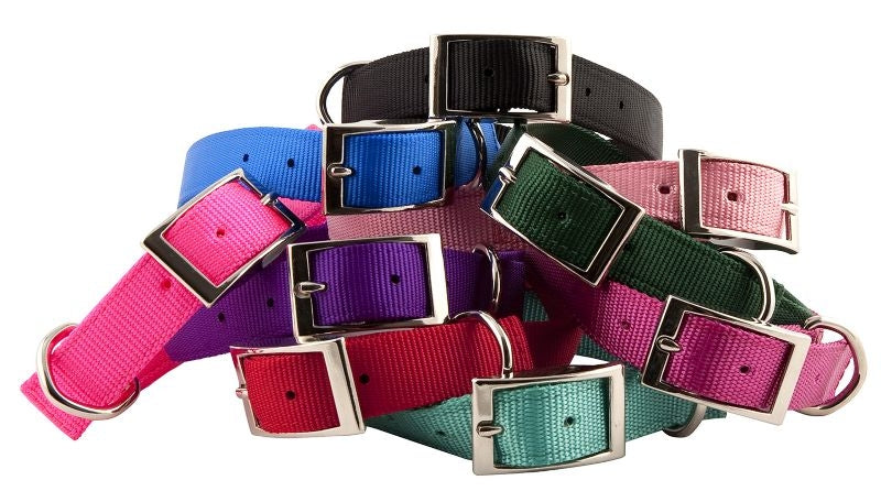 Double Layer Dog Collar