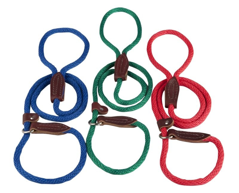 Slip Lead for Dogs