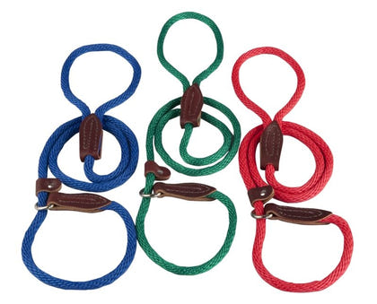 Slip Lead for Dogs