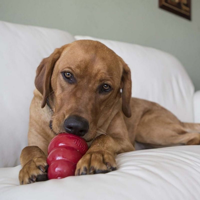 KONG Snacks Large Dog Treat