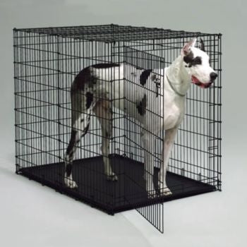 MidWest XXLarge Dog Crate